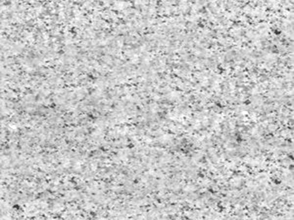 山东白麻为何适合做水景？